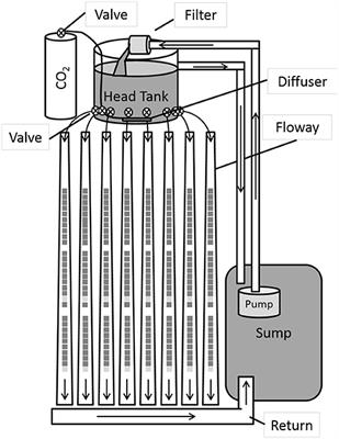 Co-digestion of Wastewater-Grown Filamentous Algae With Sewage Sludge Improves Biomethane Production and Energy Balance Compared to Thermal, Chemical, or Thermochemical Pretreatments